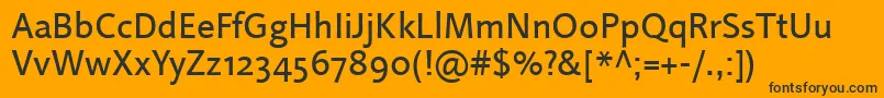 LinotypeProjektRegular Font – Black Fonts on Orange Background