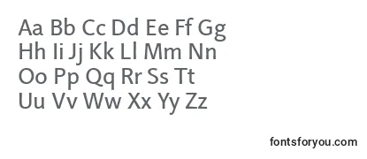 Обзор шрифта LinotypeProjektRegular