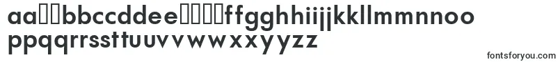 AFuturaortoBold Font – Macedonian Fonts