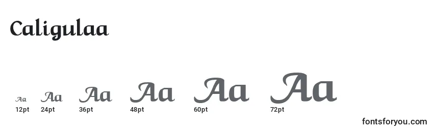 Размеры шрифта Caligulaa