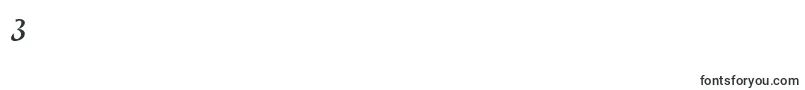 Nyfors Font – Fonts for Digit 3