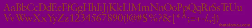 Garamondretrospectivessk Font – Brown Fonts on Purple Background