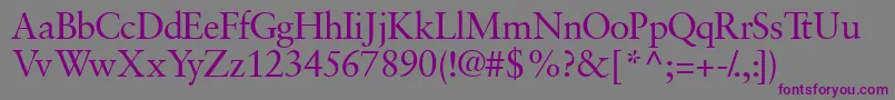 Шрифт Garamondretrospectivessk – фиолетовые шрифты на сером фоне