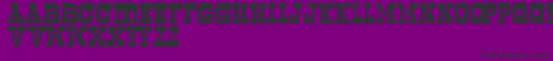 Bogus Font – Black Fonts on Purple Background