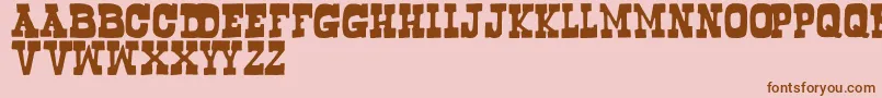 Bogus Font – Brown Fonts on Pink Background