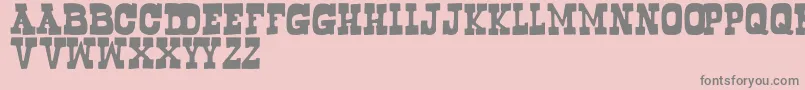 Bogus Font – Gray Fonts on Pink Background