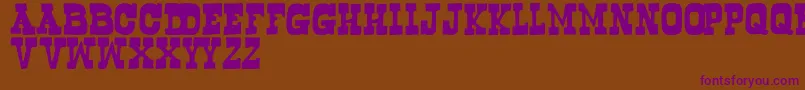 Bogus Font – Purple Fonts on Brown Background