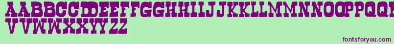 Bogus Font – Purple Fonts on Green Background