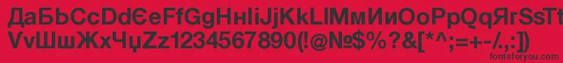 KyrillasansserifBold Font – Black Fonts on Red Background