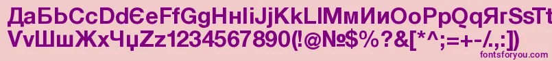 KyrillasansserifBold Font – Purple Fonts on Pink Background