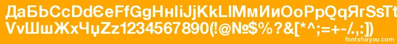 KyrillasansserifBold Font – White Fonts on Orange Background