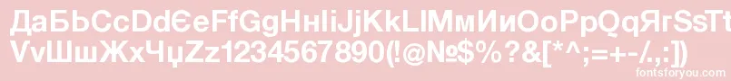 KyrillasansserifBold Font – White Fonts on Pink Background