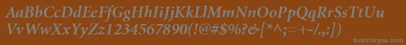 MinionCyrillicBoldItalic Font – Gray Fonts on Brown Background