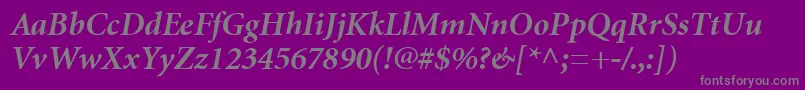 MinionCyrillicBoldItalic Font – Gray Fonts on Purple Background