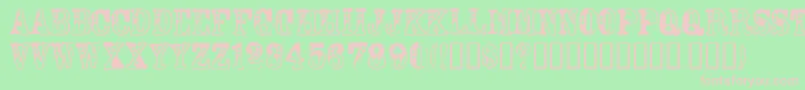 DamaBubeyNormal Font – Pink Fonts on Green Background