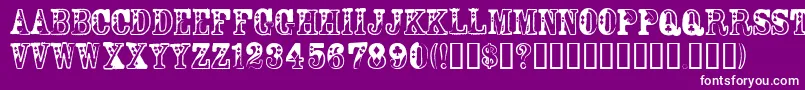 DamaBubeyNormal Font – White Fonts on Purple Background