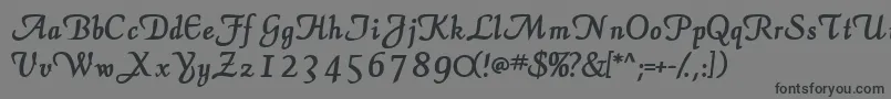 ElegansscriptsskBold Font – Black Fonts on Gray Background