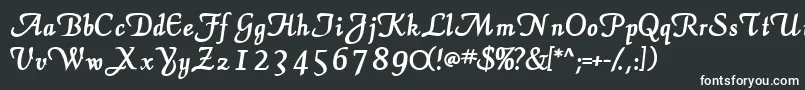 ElegansscriptsskBold Font – White Fonts