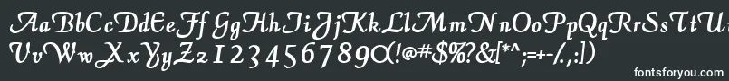 フォントElegansscriptsskBold – 白い文字