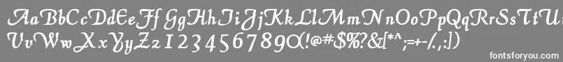 フォントElegansscriptsskBold – 灰色の背景に白い文字