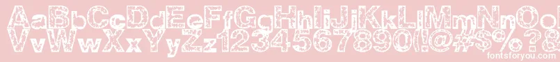 ZWisdom Font – White Fonts on Pink Background