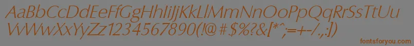 fuente ColumbiaserialXlightItalic – Fuentes Marrones Sobre Fondo Gris