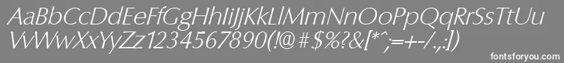 ColumbiaserialXlightItalic Font – White Fonts on Gray Background