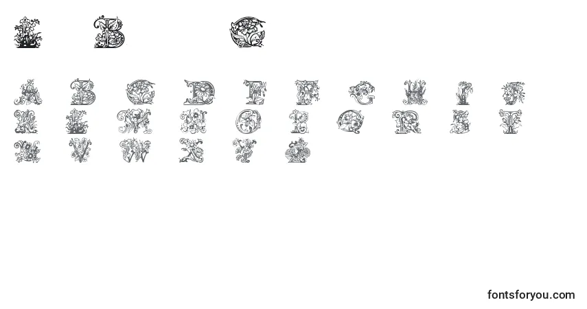 Schriftart LimeBlossomCaps – Alphabet, Zahlen, spezielle Symbole