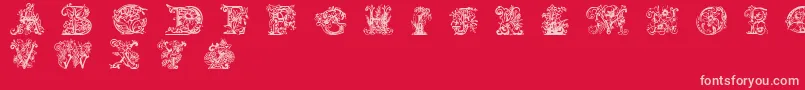 LimeBlossomCaps Font – Pink Fonts on Red Background