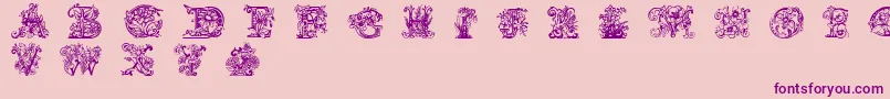 LimeBlossomCaps Font – Purple Fonts on Pink Background