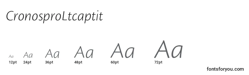 Размеры шрифта CronosproLtcaptit