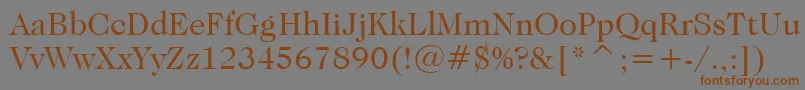 フォントCaslonNo.224BookBt – 茶色の文字が灰色の背景にあります。