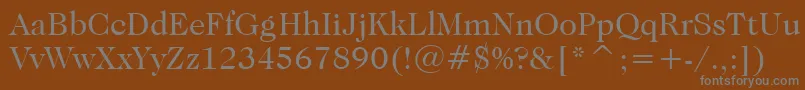 CaslonNo.224BookBt-fontti – harmaat kirjasimet ruskealla taustalla