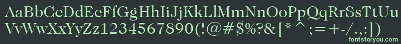 CaslonNo.224BookBt Font – Green Fonts on Black Background