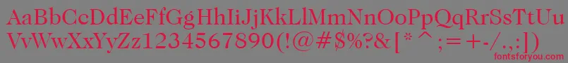 フォントCaslonNo.224BookBt – 赤い文字の灰色の背景