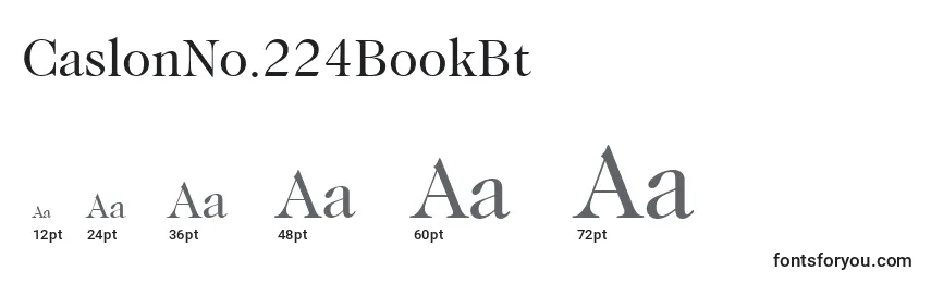 CaslonNo.224BookBt Font Sizes
