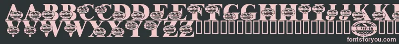 LmsSurviveTheOutback Font – Pink Fonts on Black Background