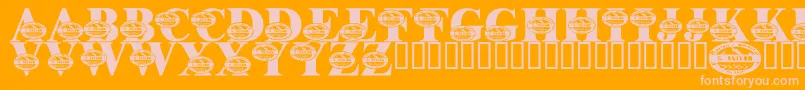LmsSurviveTheOutback Font – Pink Fonts on Orange Background