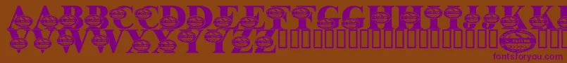 LmsSurviveTheOutback Font – Purple Fonts on Brown Background