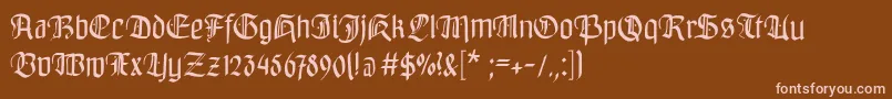 Bayreuthfraktur Font – Pink Fonts on Brown Background