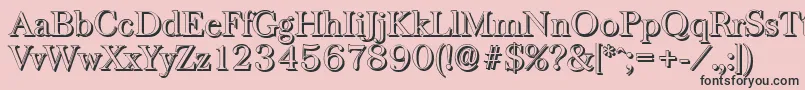 BaskervilleshadowLightRegular Font – Black Fonts on Pink Background