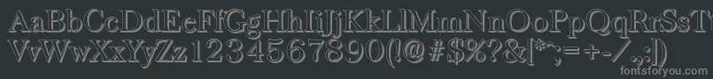 BaskervilleshadowLightRegular Font – Gray Fonts on Black Background