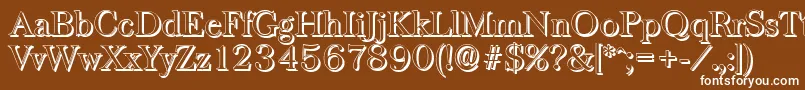 BaskervilleshadowLightRegular Font – White Fonts on Brown Background