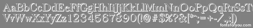 BaskervilleshadowLightRegular Font – White Fonts on Gray Background