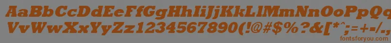 RockneyExtraboldItalic Font – Brown Fonts on Gray Background