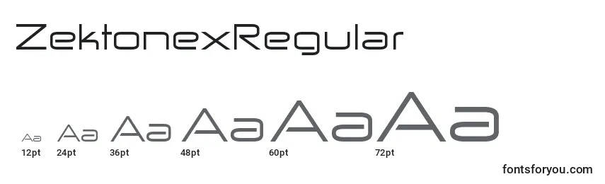Размеры шрифта ZektonexRegular