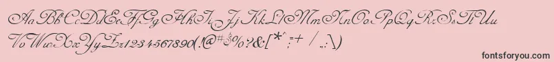 フォントCelesteNormal – ピンクの背景に黒い文字