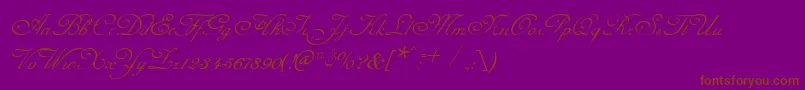 CelesteNormal Font – Brown Fonts on Purple Background