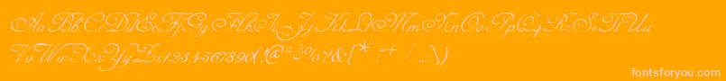 CelesteNormal Font – Pink Fonts on Orange Background