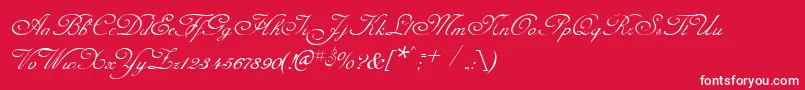 CelesteNormal Font – White Fonts on Red Background